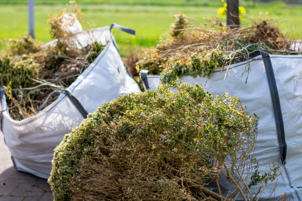 Best Construction Debris Removal  in Hopkinsville, KY